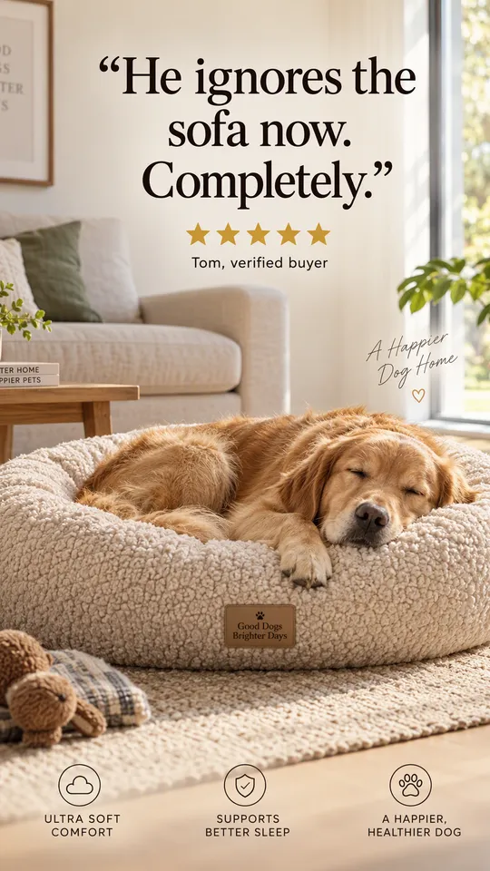 Anuncio de reseña de un golden retriever dormido en una cama redonda de peluche para perros, cita Ahora pasa del sofá
