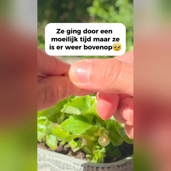 Anuncio de vídeo de Meta: la historia de un regalo contada sobre un collar