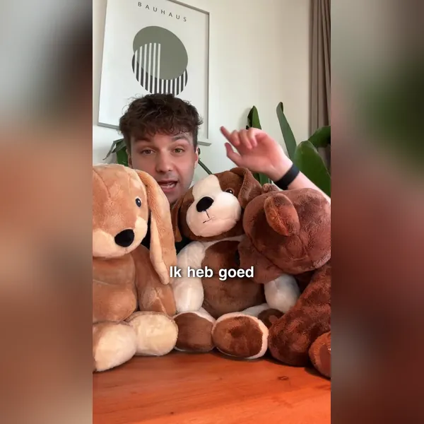 Anuncio de vídeo de Meta: un vídeo en primera persona con peluches con peso