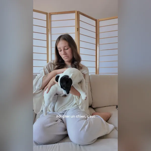 Anuncio de vídeo de Meta: una creadora dando a su cachorro una comida nueva