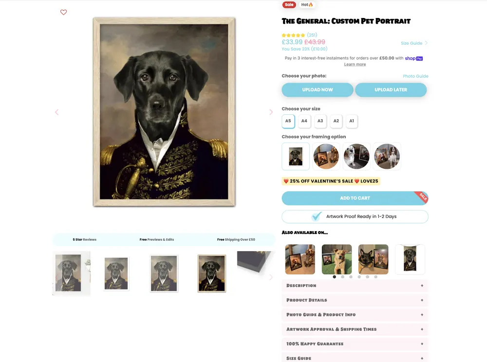 Paw & Glory Product Page Analysis