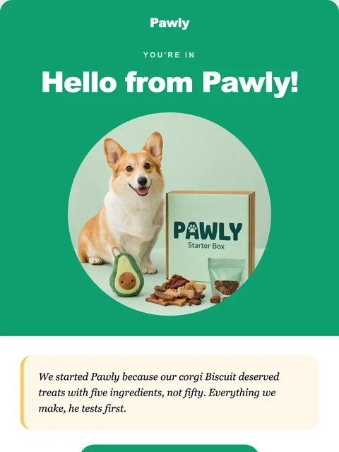 Parte superior del diseño Hello para el email de Pawly