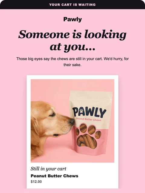 Parte superior del diseño Polaroid para el email de Pawly