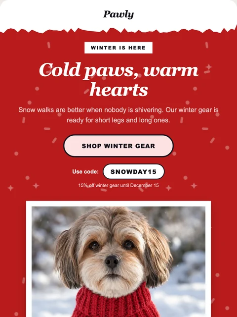 Parte superior del diseño Torn para el email de Pawly