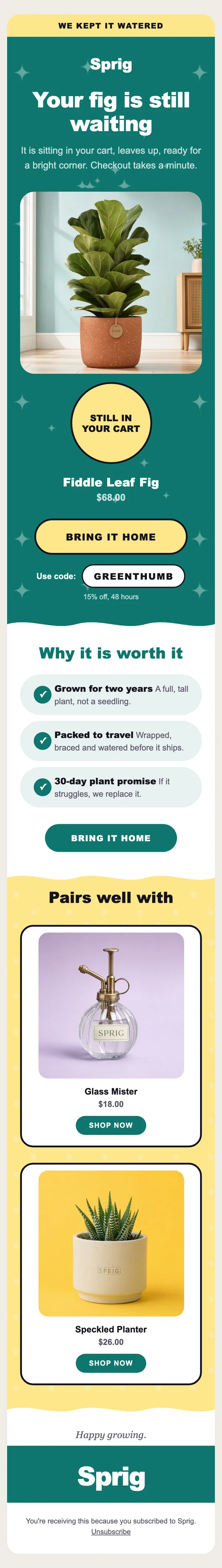 El email de carrito abandonado de Sprig en el diseño Wavy en un móvil