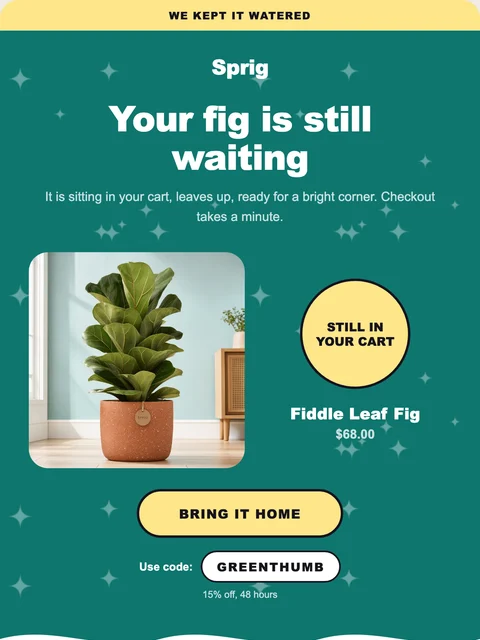 Parte superior del diseño Wavy para el email de Sprig