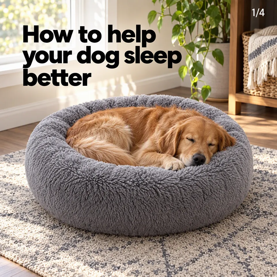Instagram carousel cover, "How to help your dog sleep better": a dog asleep in the grey plush bed by a window